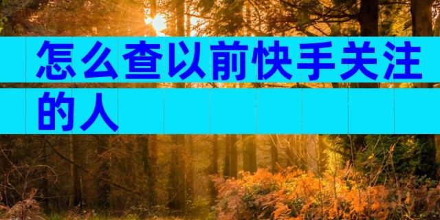 怎么查以前快手关注的人