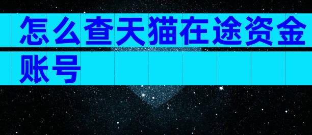 怎么查天猫在途资金账号