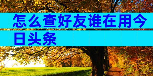 怎么查好友谁在用今日头条
