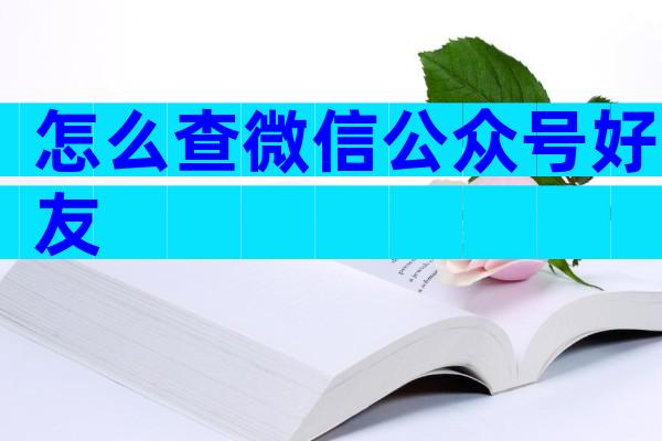 怎么查微信公众号好友