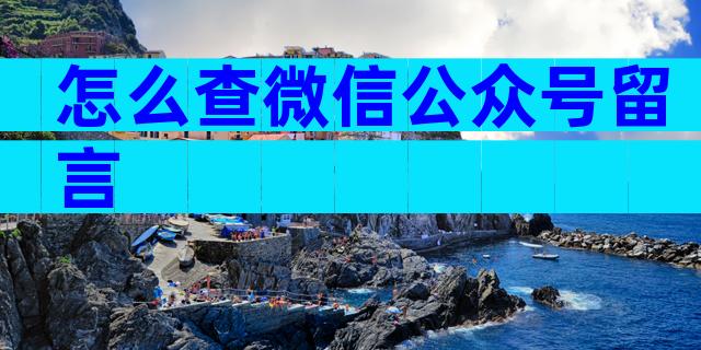 怎么查微信公众号留言