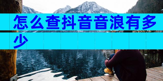 怎么查抖音音浪有多少
