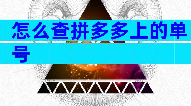 怎么查拼多多上的单号
