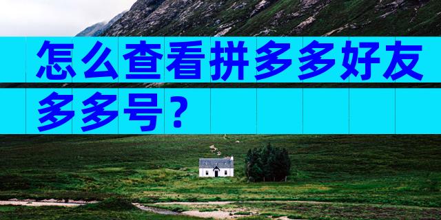 怎么查看拼多多好友多多号？