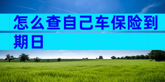 怎么查自己车保险到期日