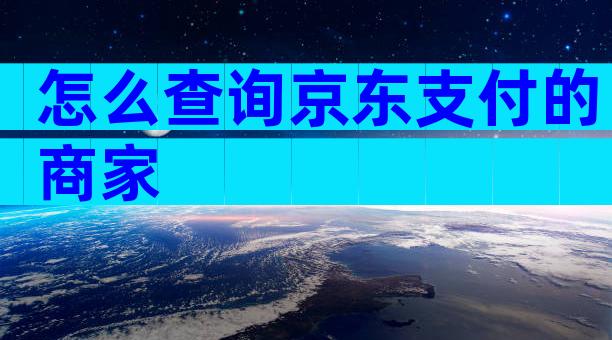 怎么查询京东支付的商家