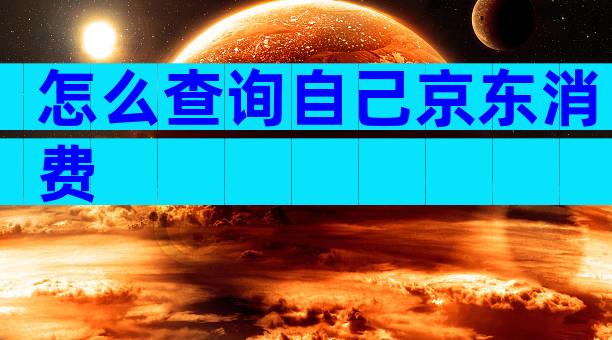 怎么查询自己京东消费