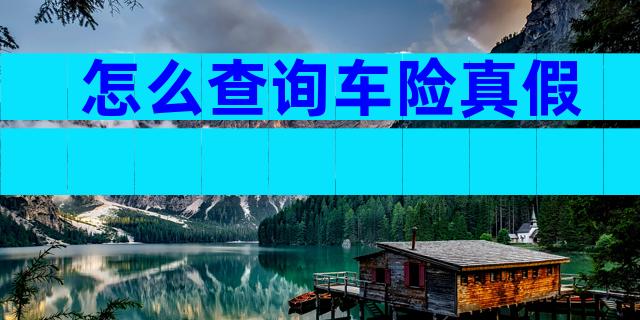 怎么查询车险真假