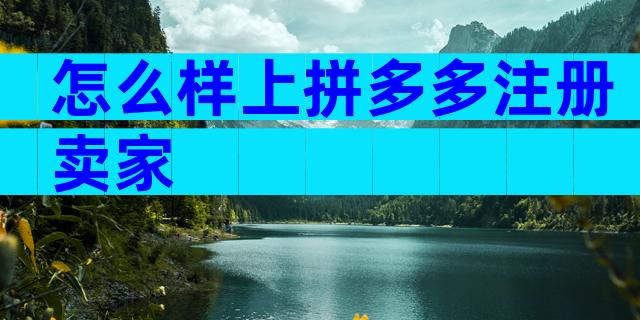 怎么样上拼多多注册卖家