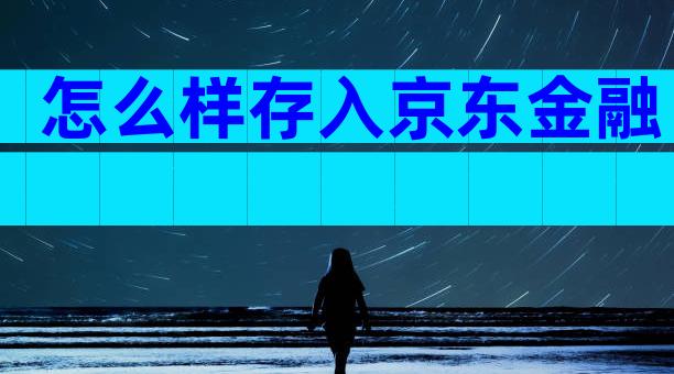 怎么样存入京东金融