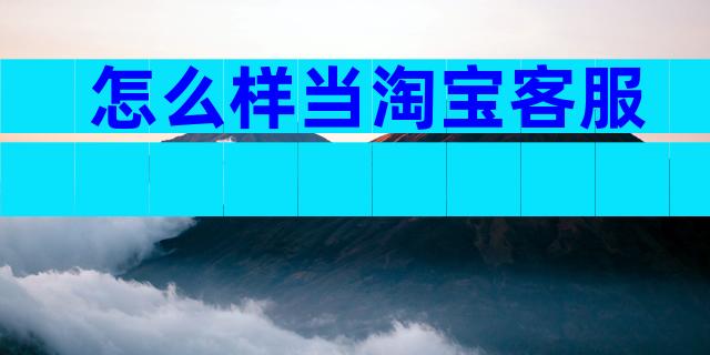怎么样当淘宝客服