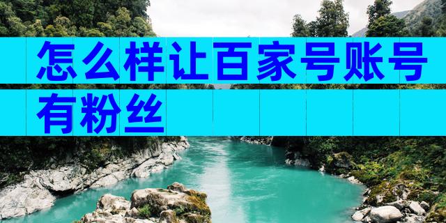 怎么样让百家号账号有粉丝