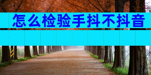 怎么检验手抖不抖音
