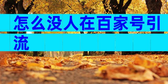 怎么没人在百家号引流