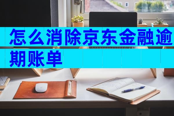怎么消除京东金融逾期账单