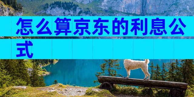 怎么算京东的利息公式