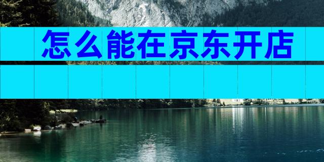 怎么能在京东开店