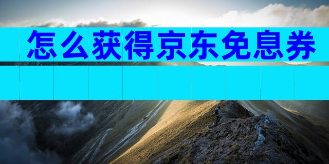 怎么获得京东免息券