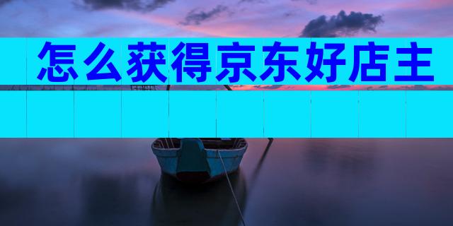 怎么获得京东好店主