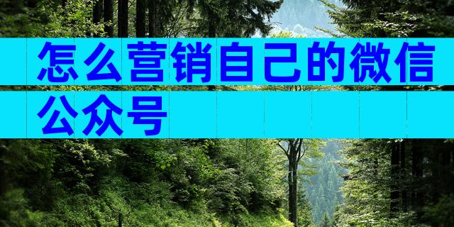 怎么营销自己的微信公众号