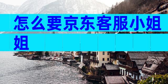 怎么要京东客服小姐姐
