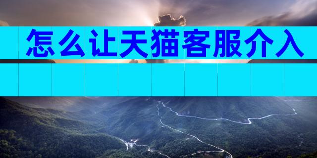 怎么让天猫客服介入