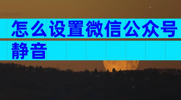 怎么设置微信公众号静音