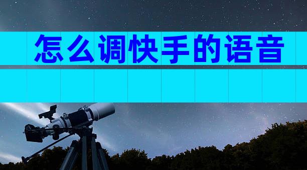 怎么调快手的语音