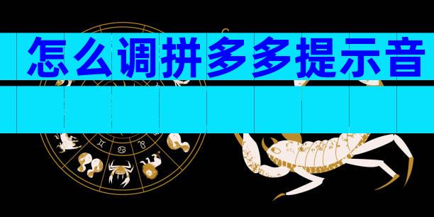 怎么调拼多多提示音