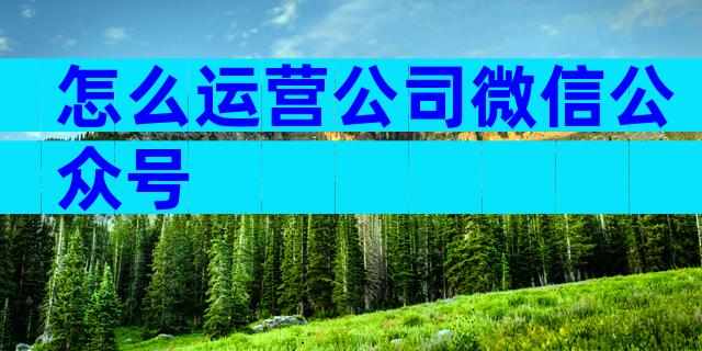 怎么运营公司微信公众号