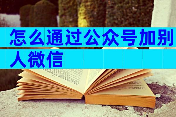 怎么通过公众号加别人微信