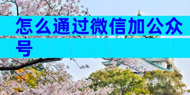 怎么通过微信加公众号