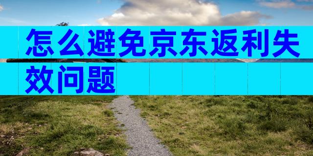 怎么避免京东返利失效问题