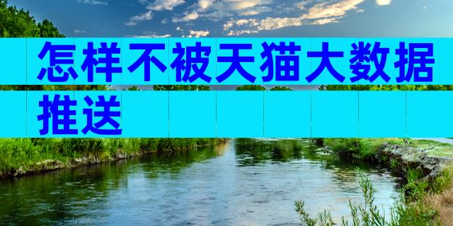 怎样不被天猫大数据推送