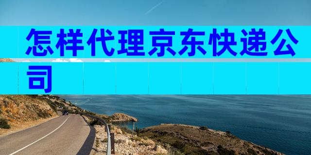 怎样代理京东快递公司