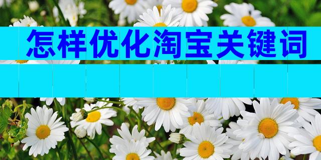 怎样优化淘宝关键词