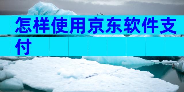 怎样使用京东软件支付