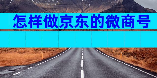 怎样做京东的微商号