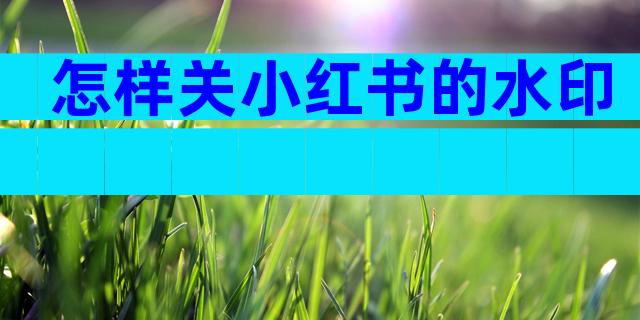 怎样关小红书的水印