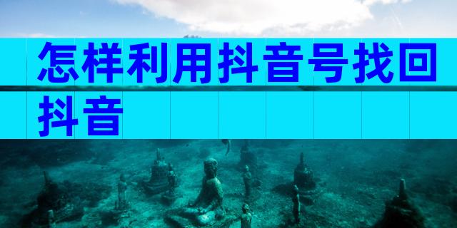 怎样利用抖音号找回抖音