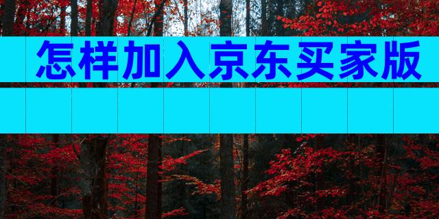 怎样加入京东买家版