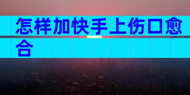 怎样加快手上伤口愈合