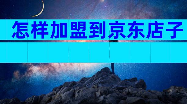 怎样加盟到京东店子