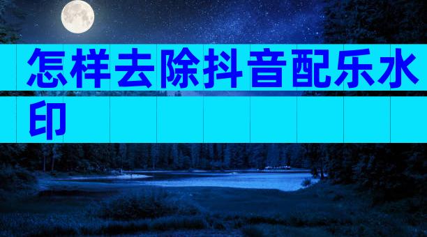 怎样去除抖音配乐水印