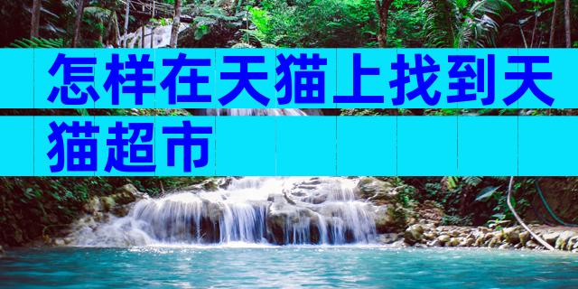 怎样在天猫上找到天猫超市