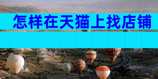 怎样在天猫上找店铺
