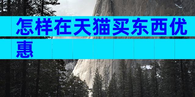 怎样在天猫买东西优惠