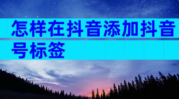 怎样在抖音添加抖音号标签