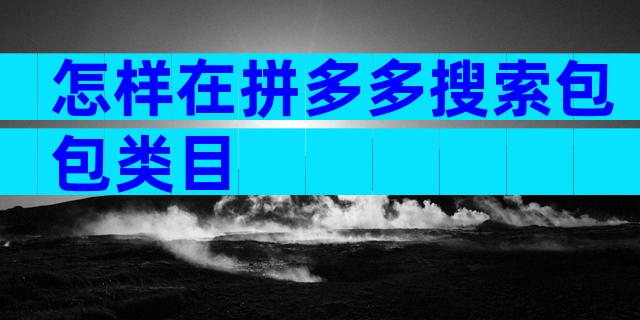 怎样在拼多多搜索包包类目