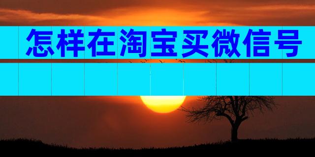 怎样在淘宝买微信号